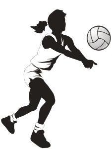 Sportverein - Sektion Volleyball
